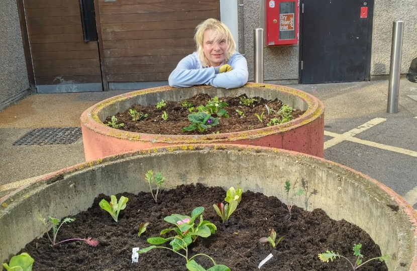 Marx de Morais Conservative candidate, Gospel Oak by-election 9 November after the planting