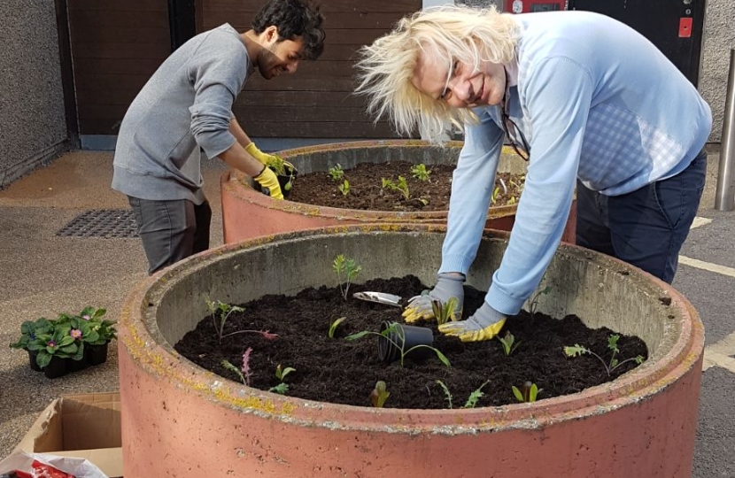 Marx de Morais Conservative candidate, Gospel Oak by-election 9 November during the planting