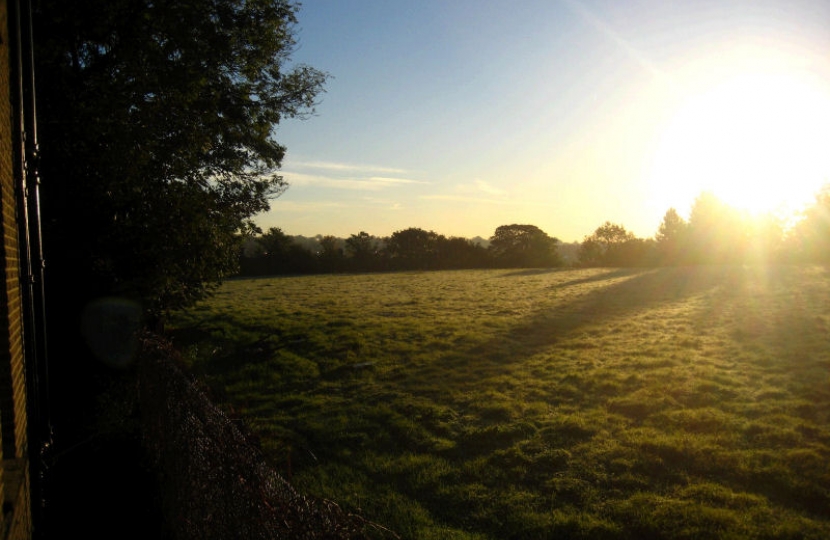 Object now to save Gondar Gardens