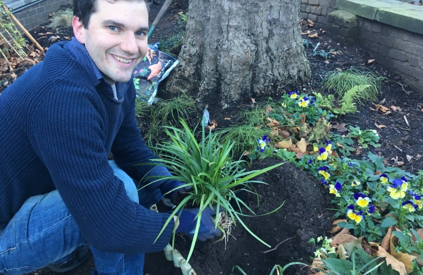 Opening green spaces and planting trees