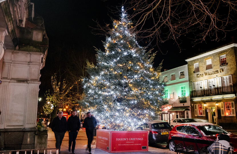 HAMPSTEAD CHRISTMAS LIGHTS AND TREE