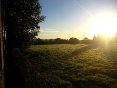 Object now to save Gondar Gardens