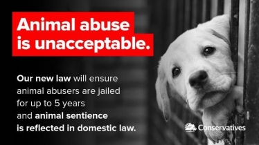 Animal Abuse is unacceptable.