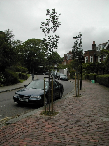 Belsize Lane with trees where bollards were