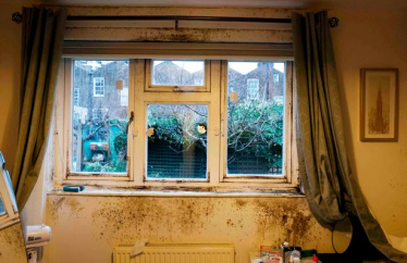 Camden Council's Moldy Excuse: Rent Hike or Health Risk?