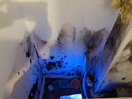 Black Mould in Camden https://www.thesun.co.uk/news/22260667/black-mould-spread-nightmare-new-build/